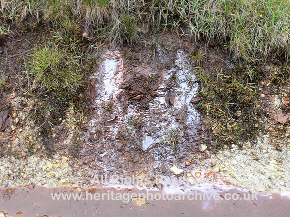 HRS 6554 Hydrocarbon seepage, Fethaland 2006