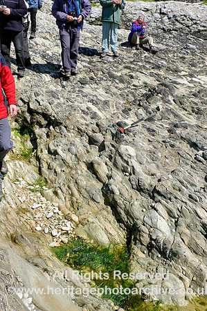 HRS 6586 Ordovician, Funzie conglomerates, Fetlar 2006