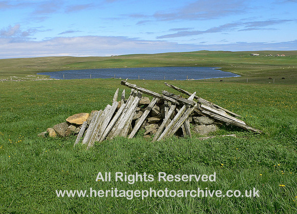 HRS 6587 Fetlar sheep break 2006