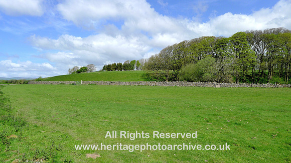 Holker, Quarry Flat, raised beach