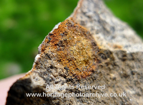 Holker Quarry Flat N trace fossil attachment hole from above