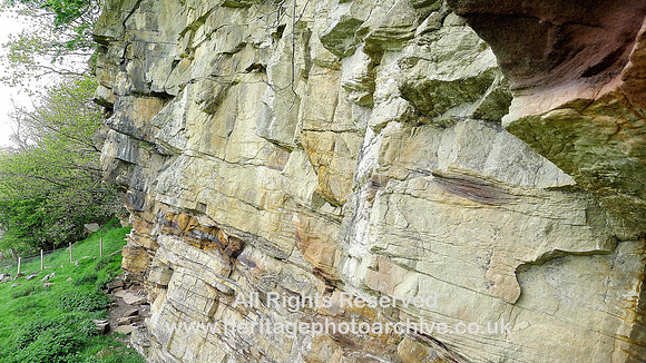Holker Quarry Flat North looking towards Holder