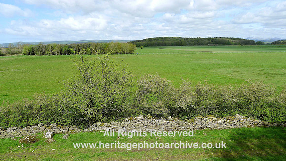 Holker Quarry Flat North reclaimed saltmarsh looking N