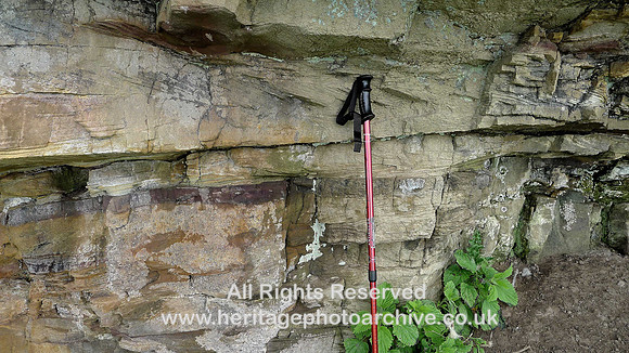 Holker Quarry Flat North ripple beds, sst units, limonite etc