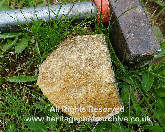 Holker Quarry Flat sst close up