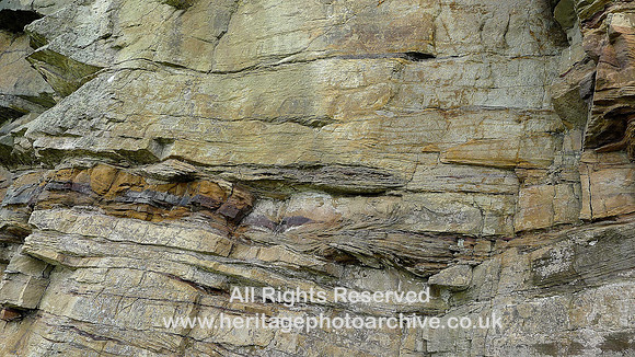 Holker Quarry Flat sst units limonite bedding