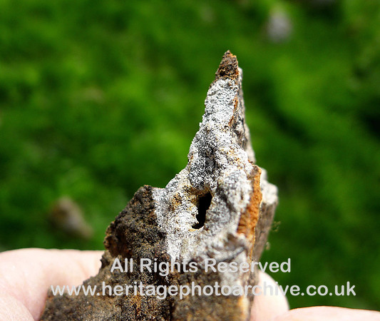 Holker Quarry Flat trace fossil breathing hole both sides