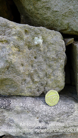 Holker, Quarry Flat wall, Sigillaria