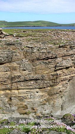 HRS 6546 Devonian, Shetland, Sandstone near Quendale 2006