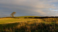 HRS 7372 Applebury Hill drumlins, Flookburgh