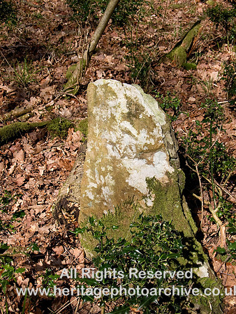 HRS 7718 Coupe stone Roudsea Wood east