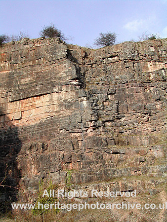 HRS 978 Carboniferous, Limestone, Llanymynech quarry strata 2004