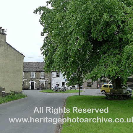 HRS 6773 Garrigill,  tree