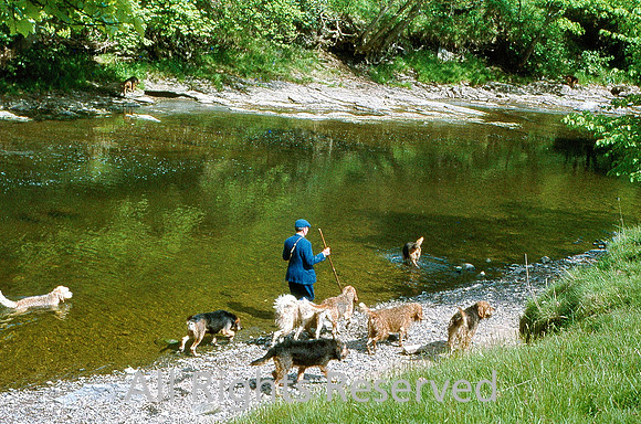 Hodder, man and hounds 1970