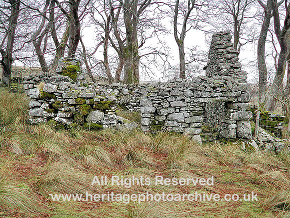 HRS 5132 Ty-nant nr Llyn Celyn 2010