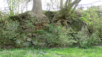HRS 8909 Blencarn, old sandstone quarry L1150301