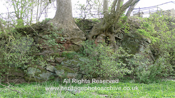 HRS 8909 Blencarn, old sandstone quarry L1150301