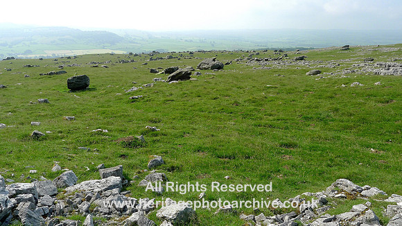 HRS 6654 Norber, Cleared area of boulder field
