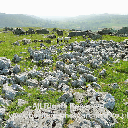 HRS 6636 Norber,  Erratics and limestone pavement looking South