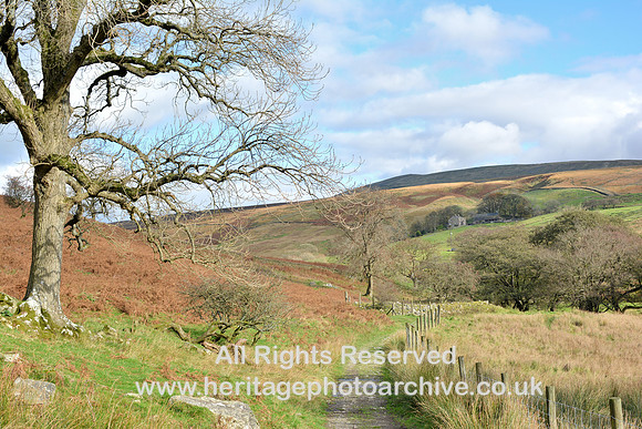 HRS 9850 Barbondale, footpath DSC_0088