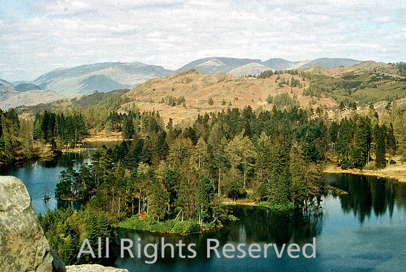Tarn Hows general view 1965