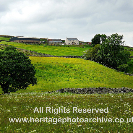 HRS 6778 Garrigill, summer meadows