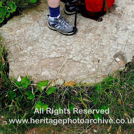 HRS 6676 St Bees sandstone, dessication