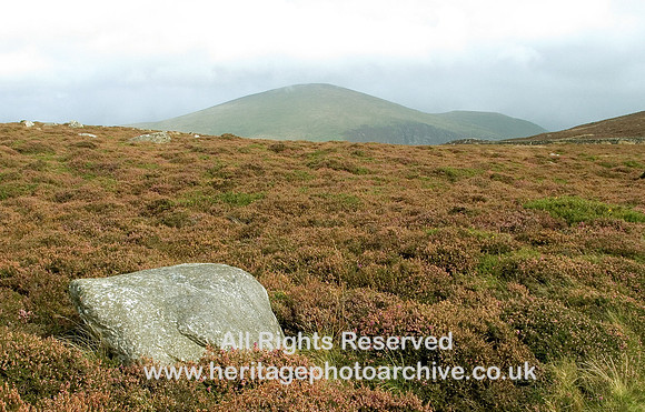 HRS 6283 Rhosgadfan moorland 2007