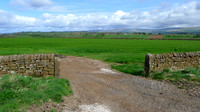 HRS 8970 Langwathby, dry stone walls and gate stoops L1150275