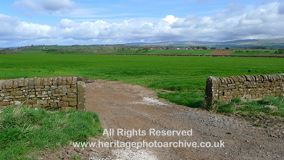 HRS 8970 Langwathby, dry stone walls and gate stoops L1150275