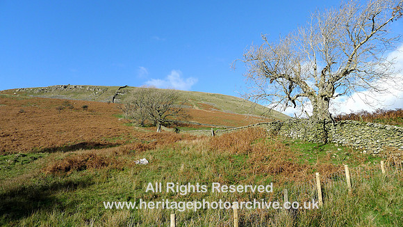 HRS 9848 Barbondale, escarpment and trees DSW L1180713