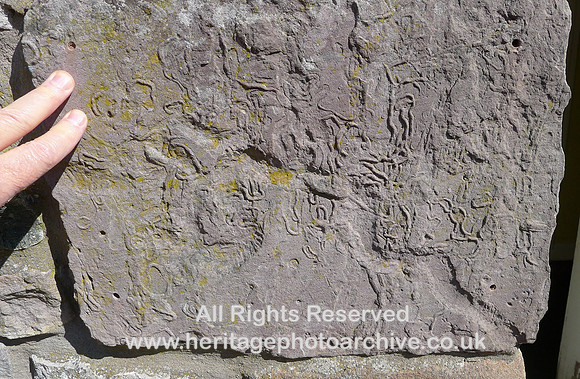 HRS 9034 Morland, trace fossil probably worm casts, Carb limestone L1150203