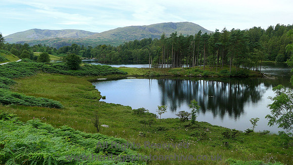 HRS 7293 Tarn Hows and Wetherlam