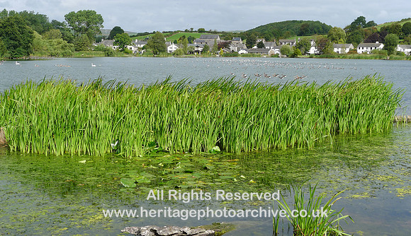 HRS 7506 Great Urswick tarn looking eastwards