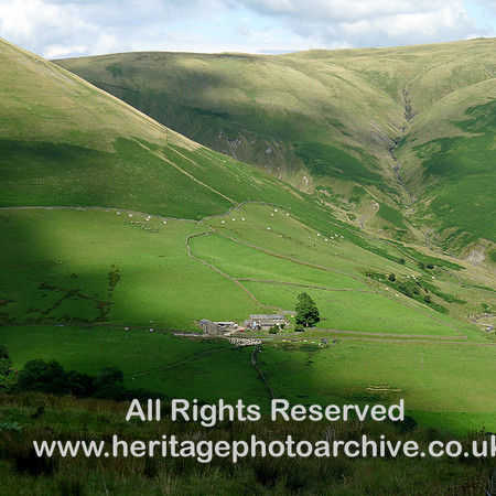 HRS 7503 Howgills, Lune Gorge from west sheep Carlingill Farm