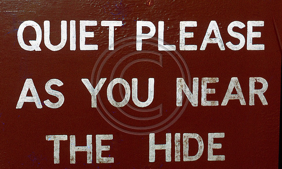 Quiet please