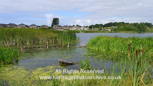 HRS 7507 Great Urswick Tarn, distant houses