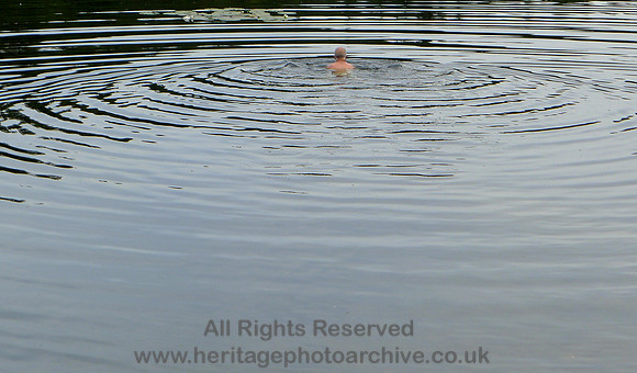 HRS 7295 Wild swimming Tarn Hows