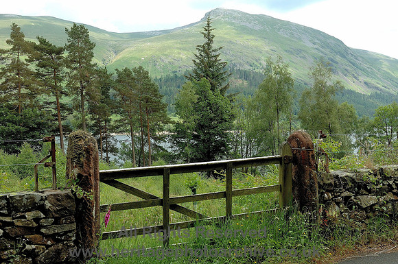 HRS 7070 Thirlmere and field gate