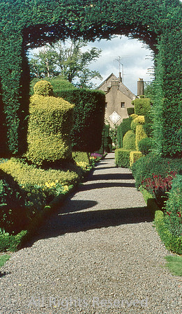 Levens Hall, topiary 1969