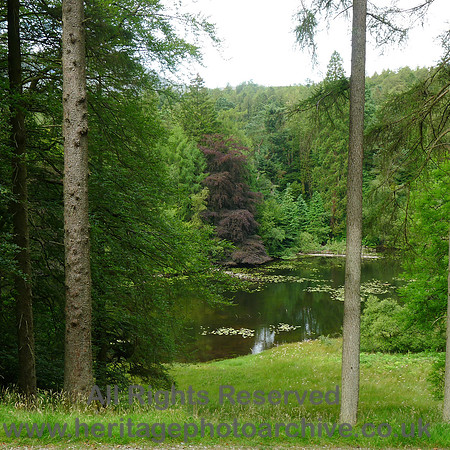 HRS 7290 Tarn Hows, trees and lake view