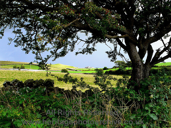 HRS 6834  Flookburgh, Applebury Hill Farm