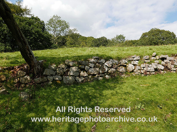 HRS 10687 Garsdale, Faw Moor, bank wall 2020 L7750642