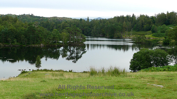 HRS 7286 Tarn Hows looking North