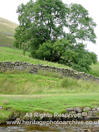 HRS 8369 Barbondale, dry stone wall and dry stone river support L1160761