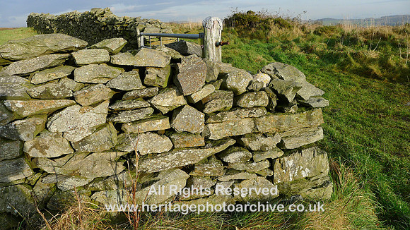 HRS 7814 Speel Bank, drystone wall
