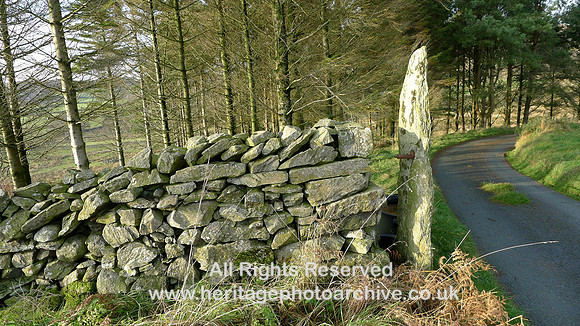 HRS 7818 Speel Bank, Drystone wall and post