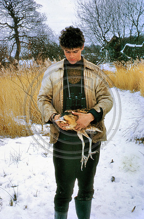 Frost bittern May 1969 Andrew
