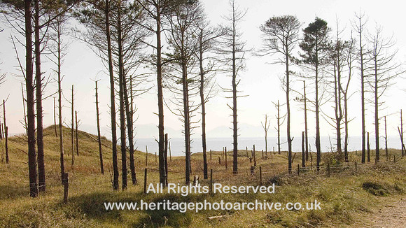 HRS 573 Newborough dunes