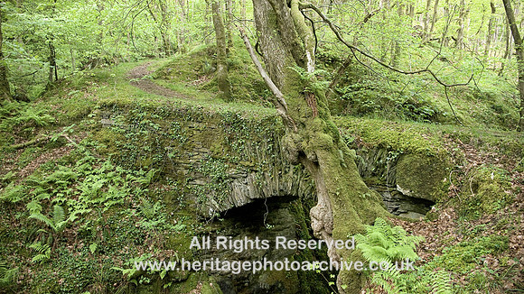 HRS 7903 Lickle Valley Bridge